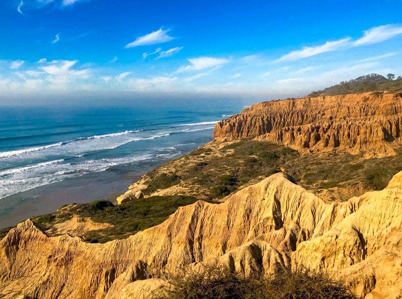 Experience the serene escape that Seagrove Park offers, mirroring the tranquility of Torrey Pines.