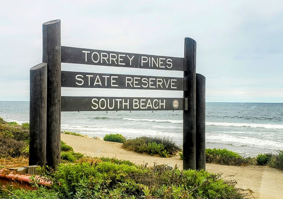 Experience the natural beauty of Torrey Pines State Natural Reserve.