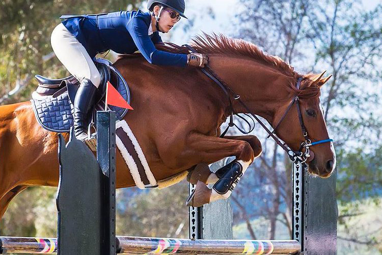 CARMAthon 2025 Raises Nearly $200,000 to Support Thoroughbred Aftercare Efforts.