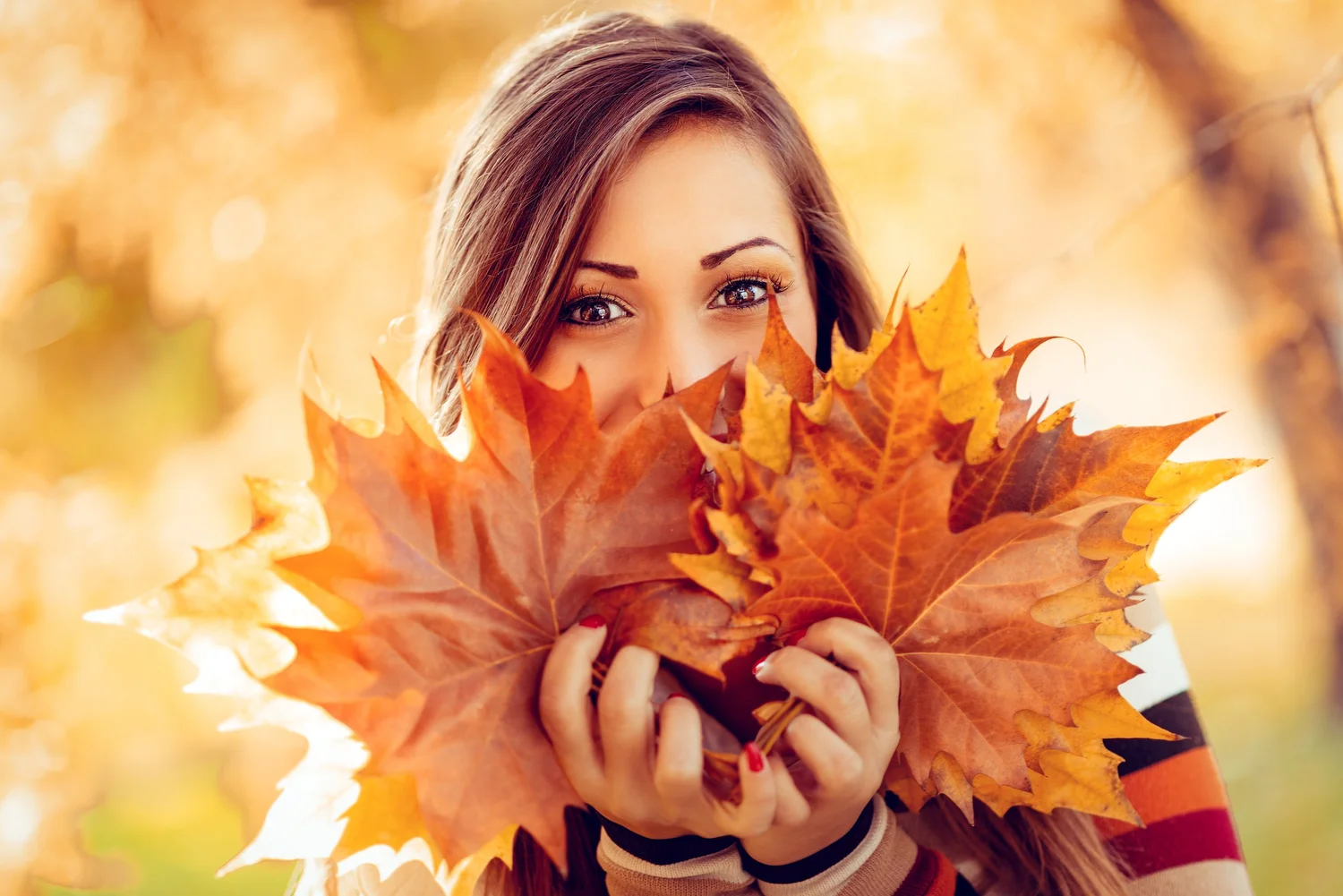 Discover the best spots for stunning fall colors near Del Mar.