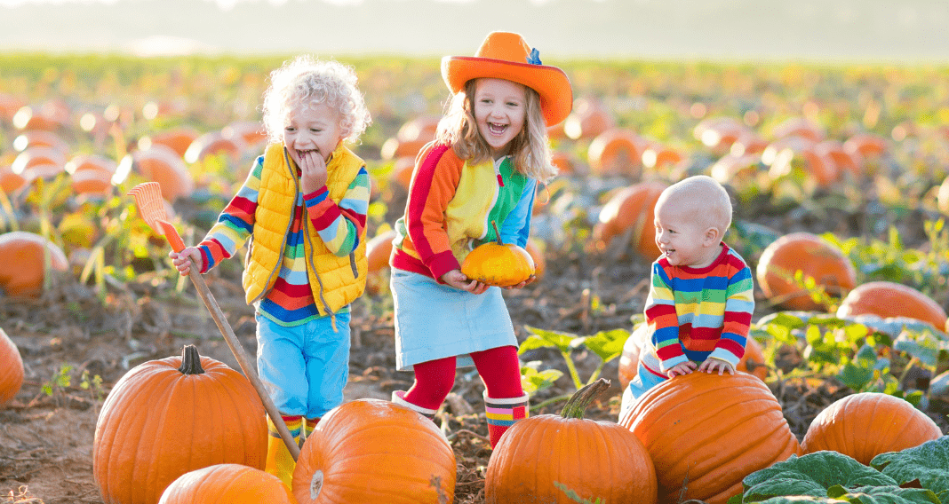 2025 San Diego Pumpkin Patch Guide — consult for up-to-date hours and events.