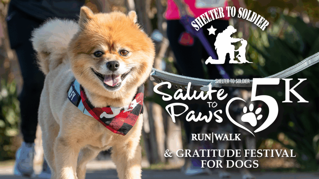 Runners and dogs participating in the Salute to Paws 5K & Gratitude Festival.